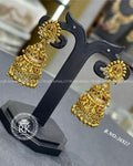 Premium Lakshmi Devi Earnings Basket-Style
